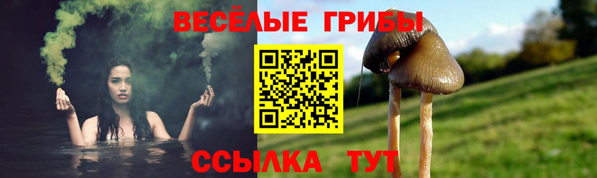 Кольчугино  Псилоцибиновые грибы Psilocybe  Вход с VPN 